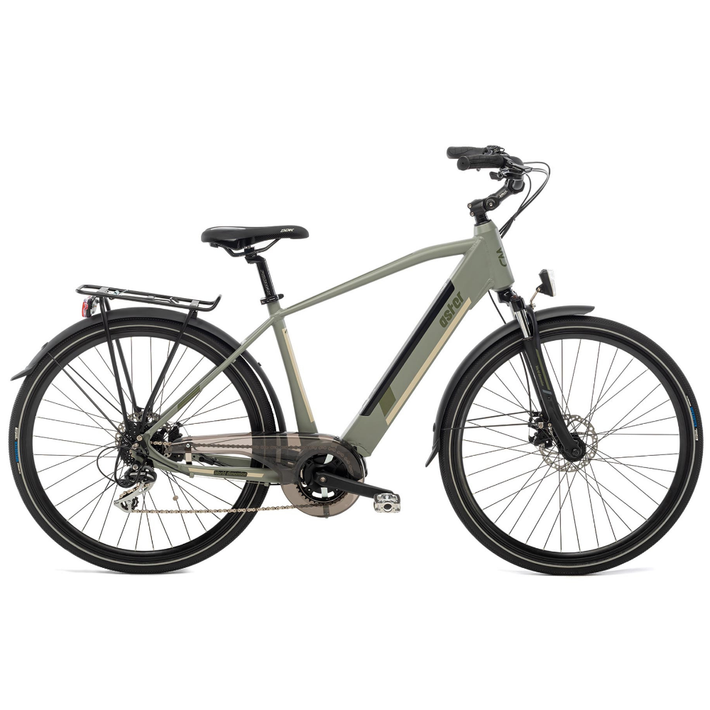 Bicicletta elettrica made in italy con motore centrale, da uomo, modello aster del marchio world dimension di colore grigio