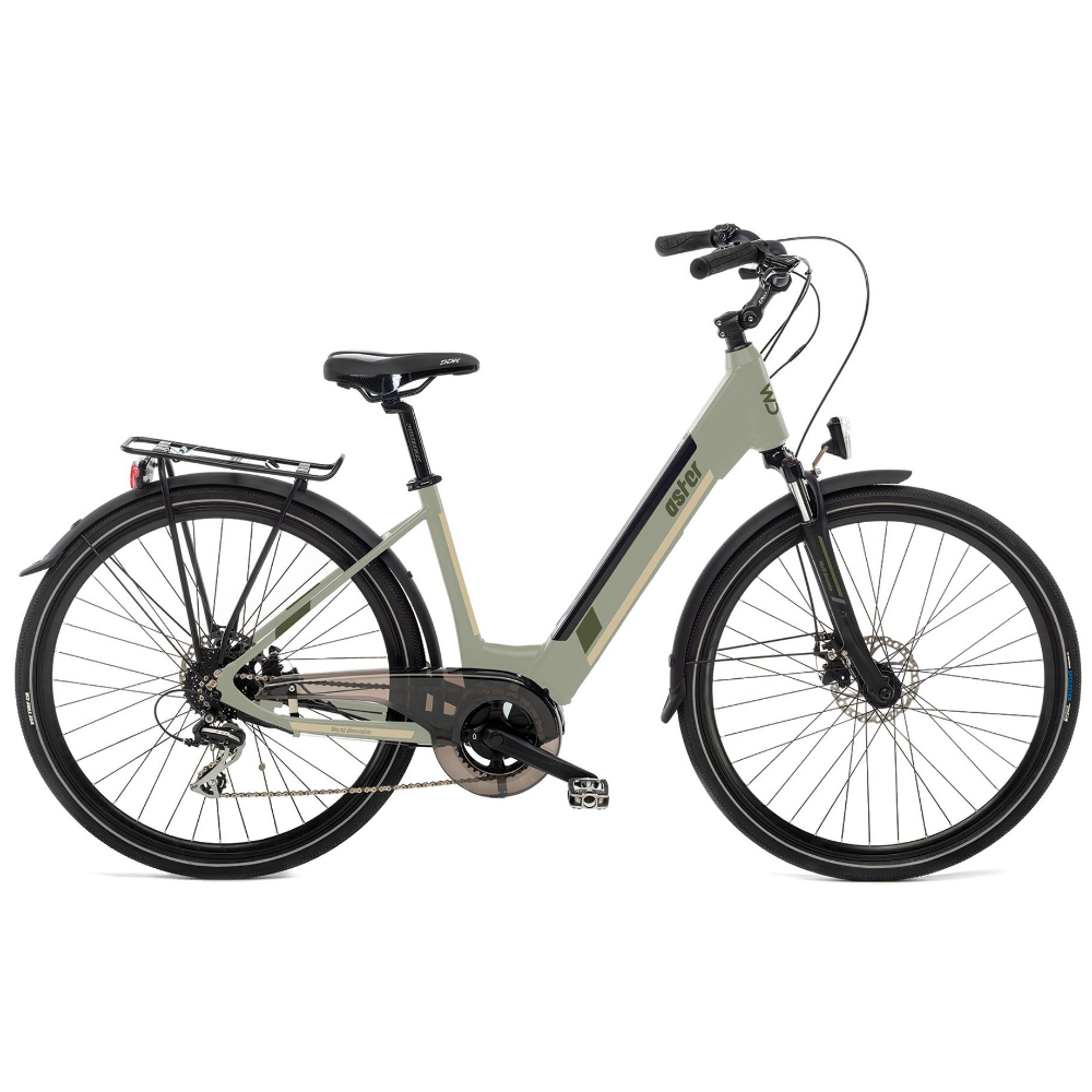 Bicicletta elettrica made in italy con motore centrale, da donna, modello aster del marchio world dimension di colore grigio opaco