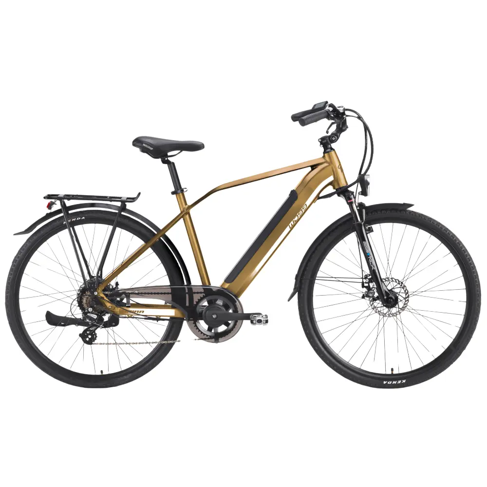 Bicicletta elettrica da uomo Made in Italy, modello Haira Man di World Dimension, colore bronzo