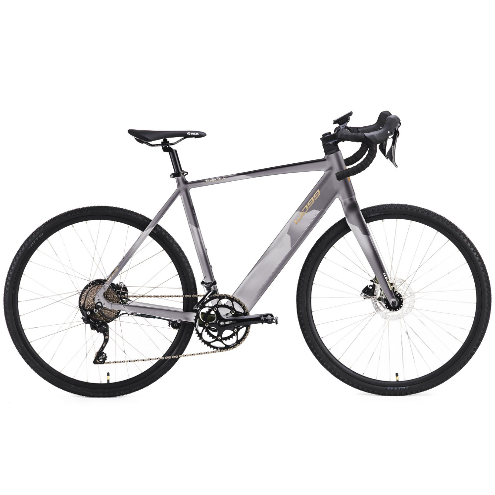 Bicicletta elettrica da viaggio world dimension modello dracon Made in Italy, colore silver
