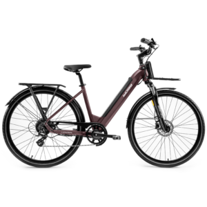 WD99 HAIRA LUX BORDEAUX